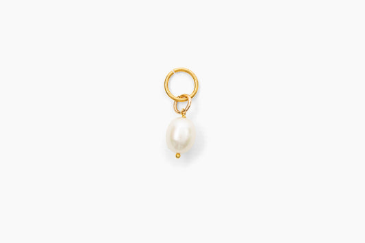 Small FWP Charm